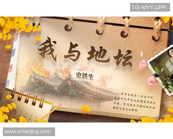 《从球场到心房：女主与足球球星的缘起与成长故事》