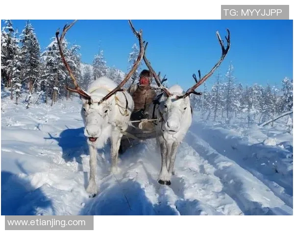 俄罗斯足球巨星崛起之路：从寒冷之地到世界赛场的荣耀与挑战