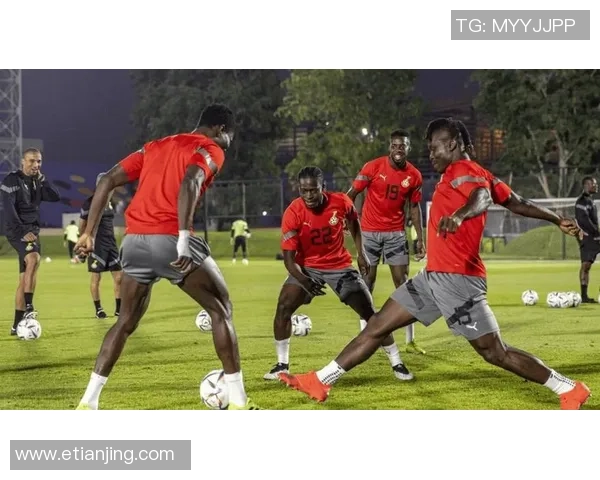 加纳球星在世界足球舞台上的辉煌历程与激情瞬间 加纳球星在世界足球舞台上的辉煌历程与激情瞬间